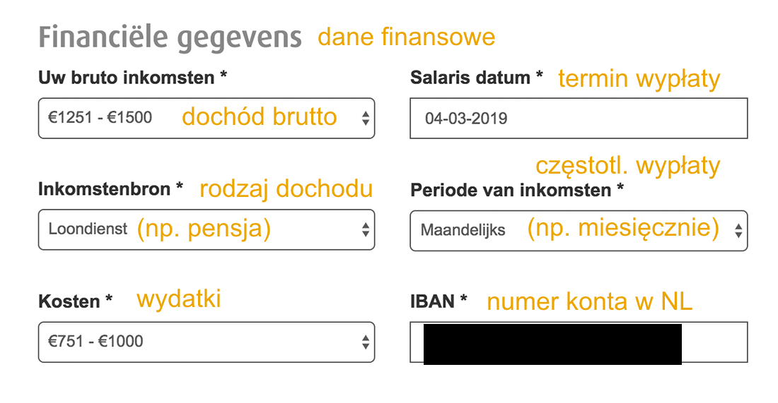 Kredyt online Holandia